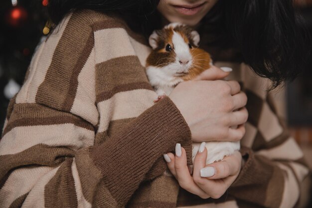 Carino cavia nel concetto di bambino e animale delle braccia della ragazza