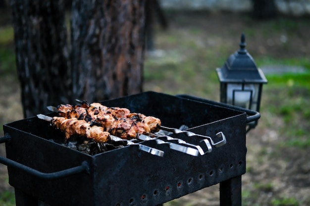 Carne alla griglia alla brace Pollo BBQ Carne allo spiedo Carne allo spiedo Foto orizzontale