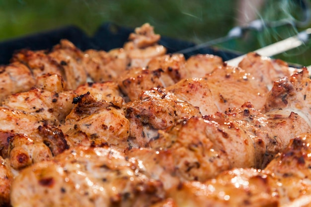 Carne appetitosa su spiedini Cena barbecue in campeggio