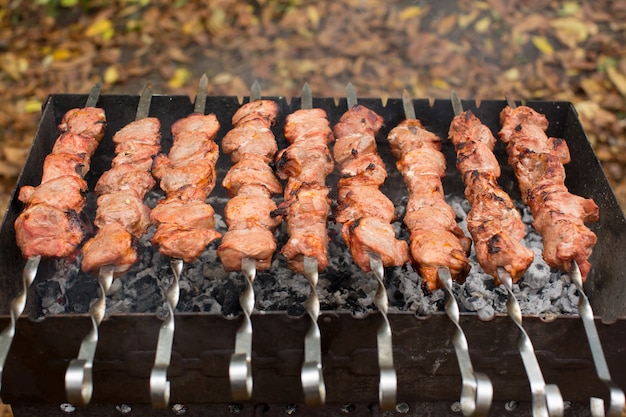 Carne arrostita sul fuoco barbecue spiedini alla griglia