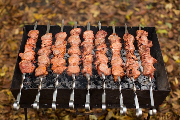 Carne arrostita sul fuoco barbecue spiedini alla griglia