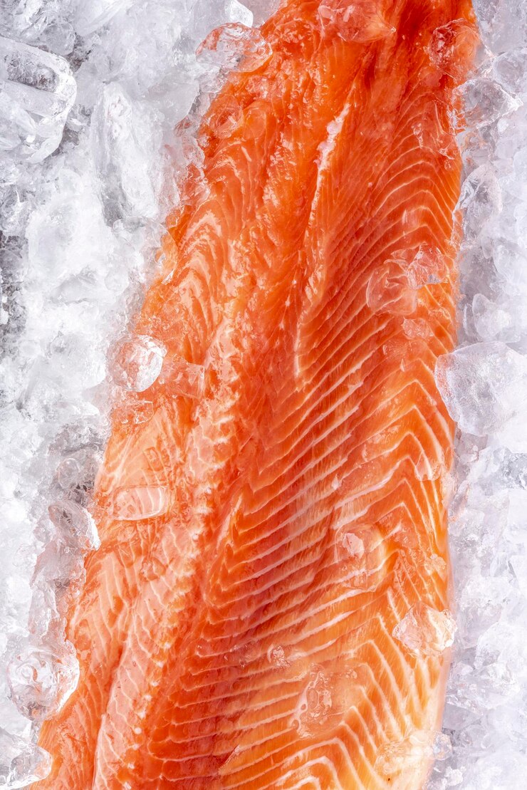 Carne cruda del pezzo di salmone sul fondo dell'alimento del ghiaccio Vista del primo piano