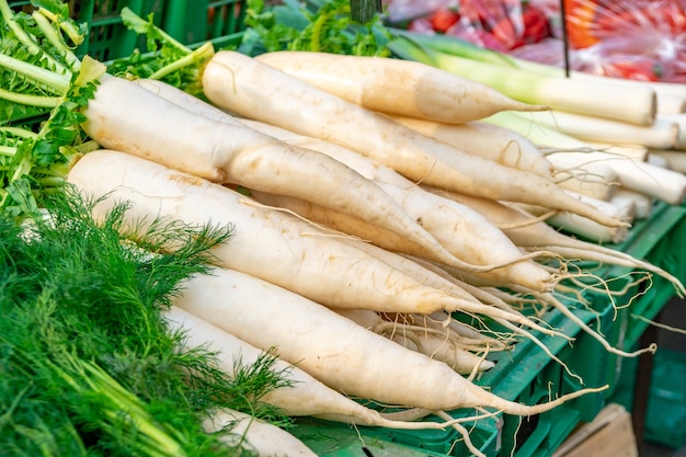 Carota bianca in un mercato agricolo in vendita. Verdura.