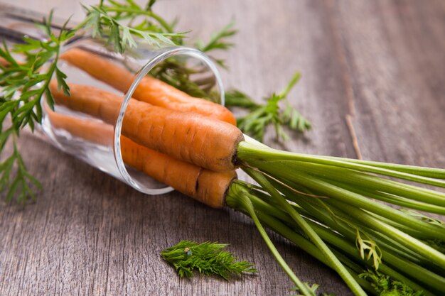 Carota fresca cruda