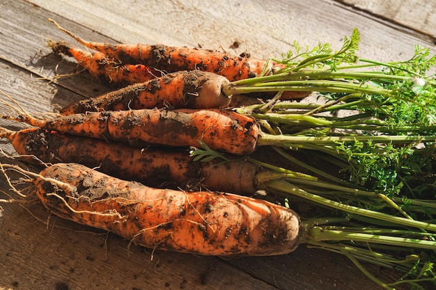 Carota fresca e dolce su un tavolo di legno grigio