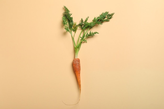 Carota fresca su sfondo beige, spazio per il testo