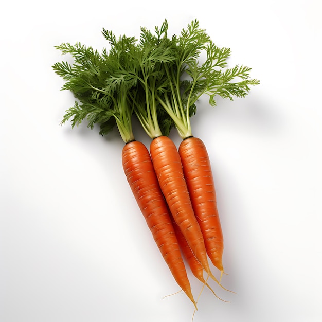 Carota fresca su sfondo bianco