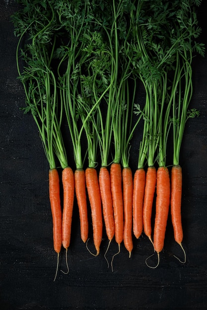 Carota fresca