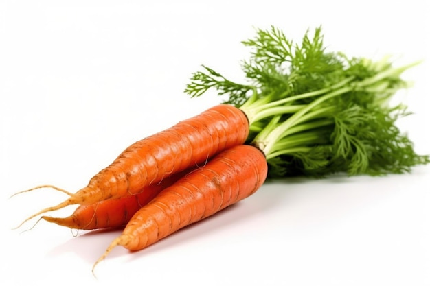 Carota isolata su uno sfondo bianco