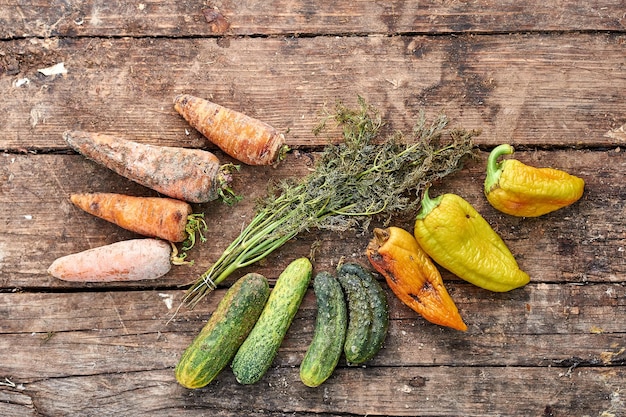 Carote e peperoni marci dei cetrioli delle verdure su un vecchio fondo di legno