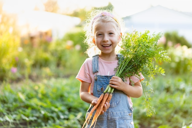 Carote fresche dell'orto nelle mani di un bambino, prodotti biologici, raccolta di verdure.