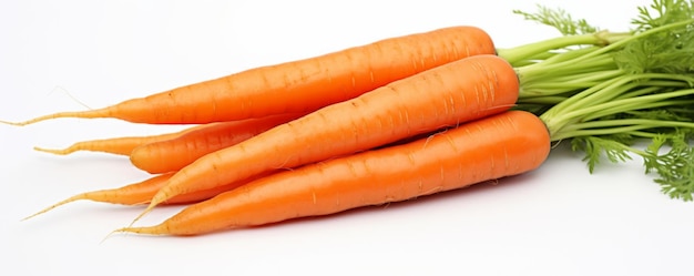 carote fresche su uno sfondo bianco IA generativa
