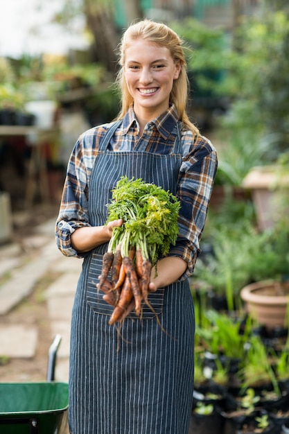 Carote raccolte tenuta femminile del giardiniere