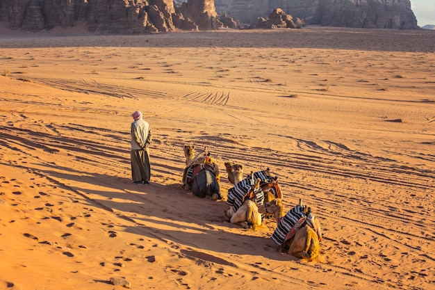 Carovana di cammelli nel deserto di Wadi Rum, Medio Oriente, Giordania