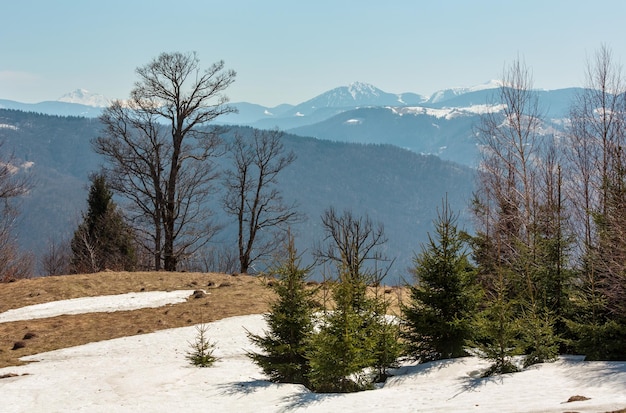 Carpazi all'inizio della primavera