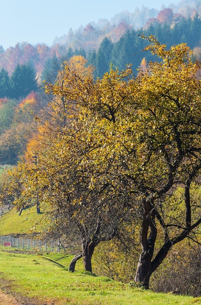 Carpazi d'autunno Ucraina