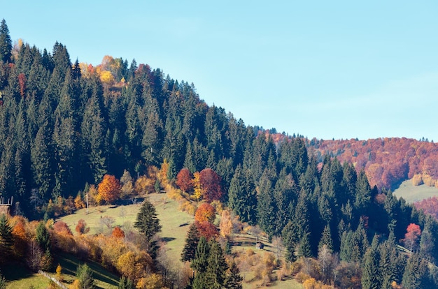 Carpazi d'autunno Ucraina