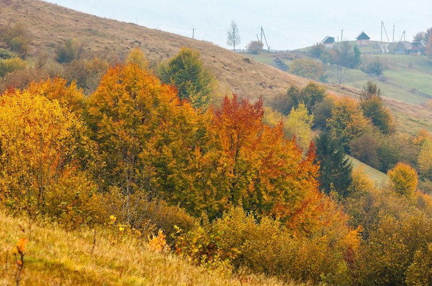 Carpazi d'autunno Ucraina