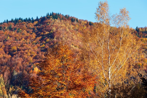 Carpazi d'autunno Ucraina