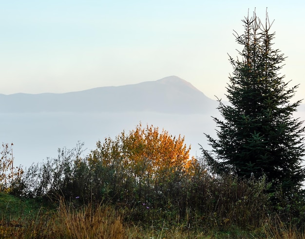 Carpazi d'autunno Ucraina