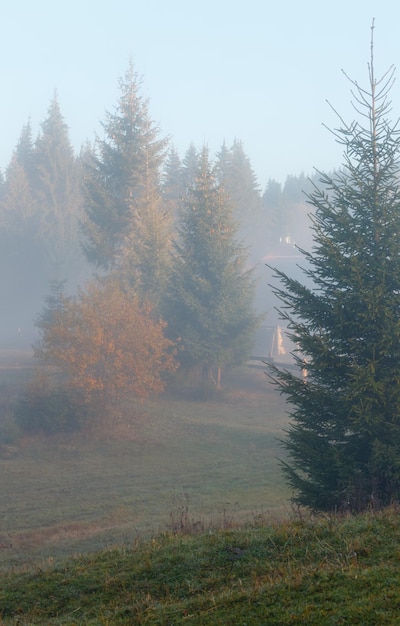 Carpazi d'autunno Ucraina