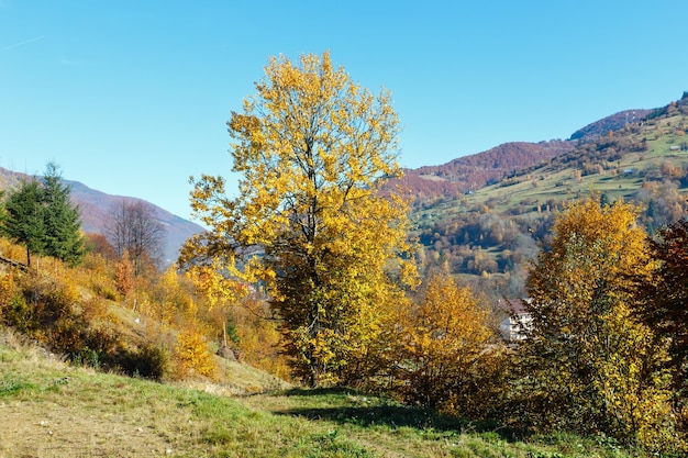 Carpazi d'autunno Ucraina