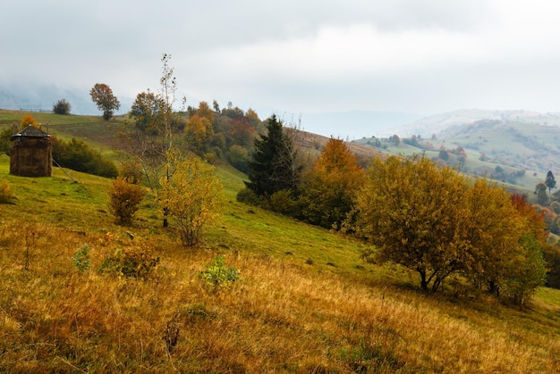 Carpazi d'autunno Ucraina