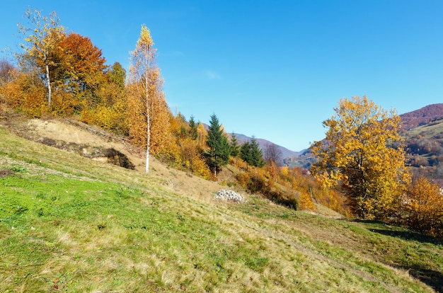 Carpazi d'autunno Ucraina