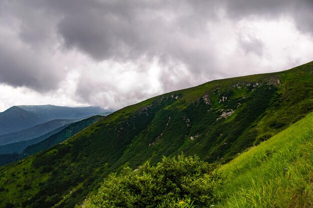 Carpazi Panorama di verdi colline in montagna d'estate Foresta di montagna verde nebbiosa sotto il cielo blu