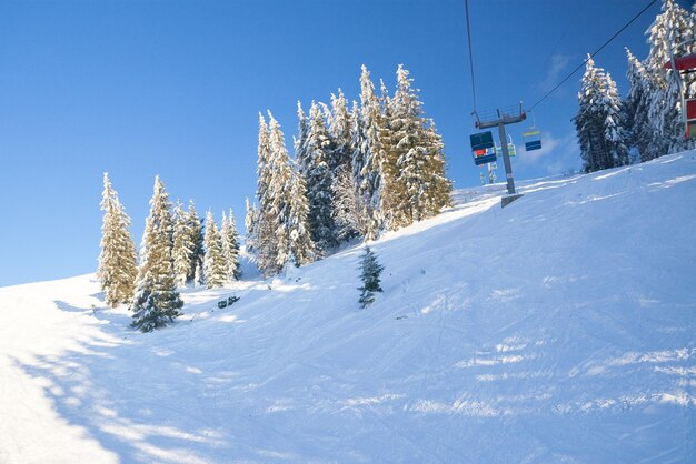 Carpazi Ucraina Meravigliosi abeti innevati sullo sfondo delle cime delle montagne Vista panoramica del pittoresco paesaggio invernale innevato Splendida e tranquilla giornata di sole