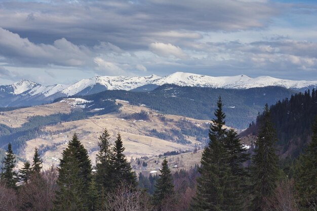 Carpazi Ucraina Montagne durante il tramonto Bellissimo paesaggio naturale nel periodo estivo