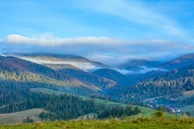 Carpazi ucraini boscosi e nebbia diurna