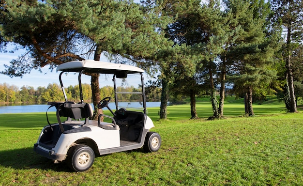 Carrelli da golf su un campo da golf