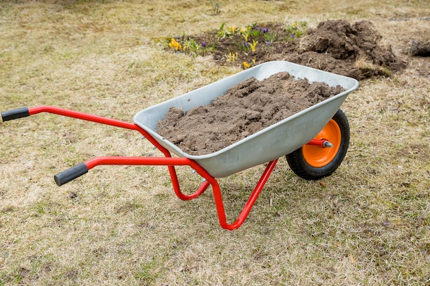 Carrello da giardino con terra si trova sul prato. carrello in metallo con humus in giardino.