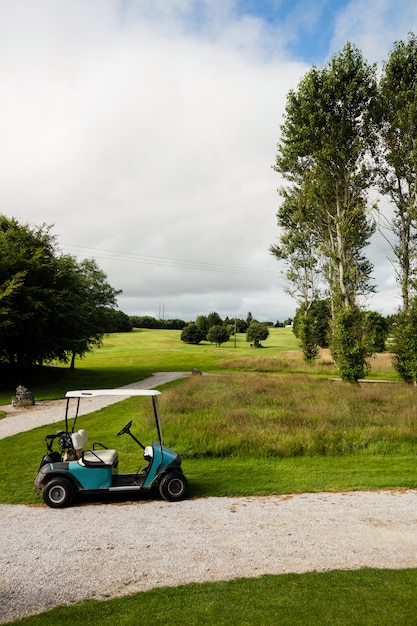 Carrello da golf nel campo da golf