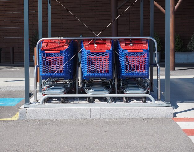 Carrello della spesa carrello