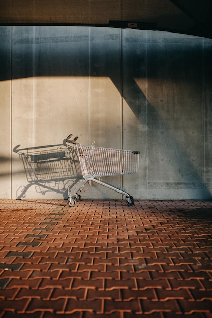 Carrello della spesa vuoto