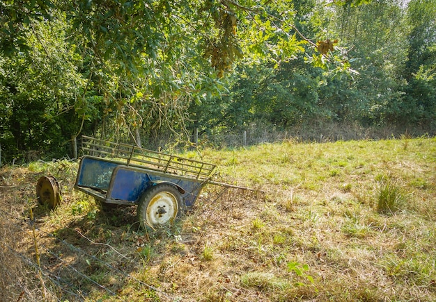 Carro agricolo d'epoca da solo nel campo