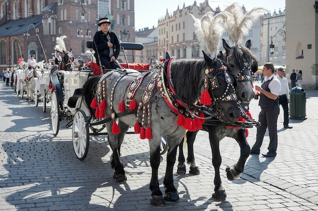 Carrozza e cavalli a Cracovia
