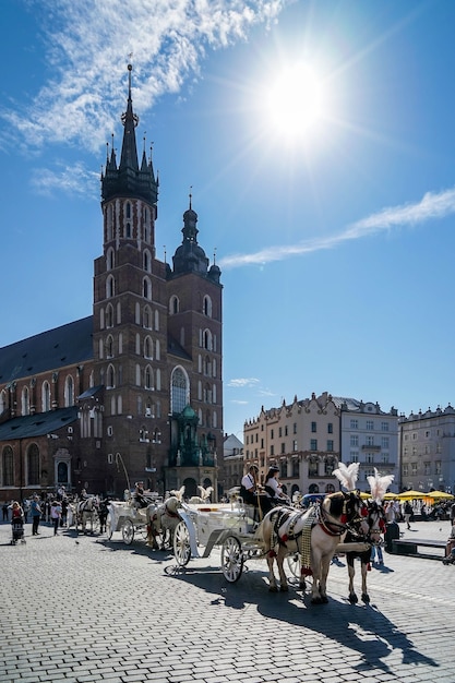 Carrozza e cavalli a Cracovia