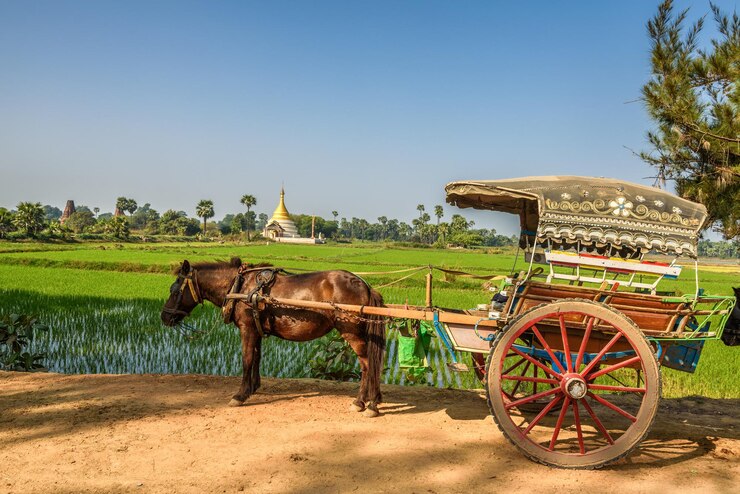 Carrozza trainata da cavalli in Myanmar