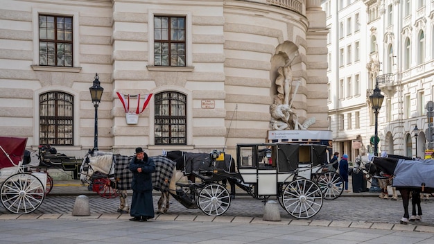 Carrozze trainate da cavalli girano per il centro della città con i turisti Vienna Austria