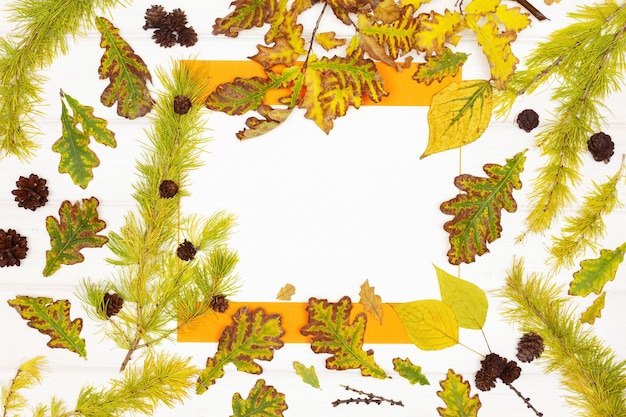 Carta bianca con decorazioni per la stagione autunnale Sfondo cornice autunnale con spazio per il testo