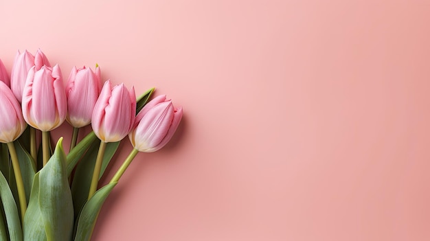 carta bianca con fiori di tulipano colorati su sfondo rosa pastello