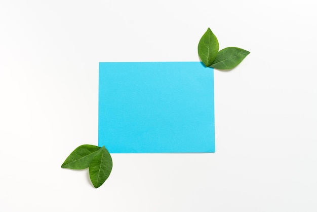 Carta bianca disposta con foglie che rappresentano un prodotto naturale Cornice rettangolare vuota con decorazione botanica fresca Cartone creativo con erbe per pubblicità aziendale