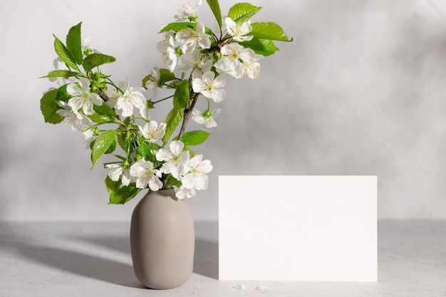 Carta bianca e rami di ciliegio in fiore in vaso alla luce del sole modello per scrivere testo o design