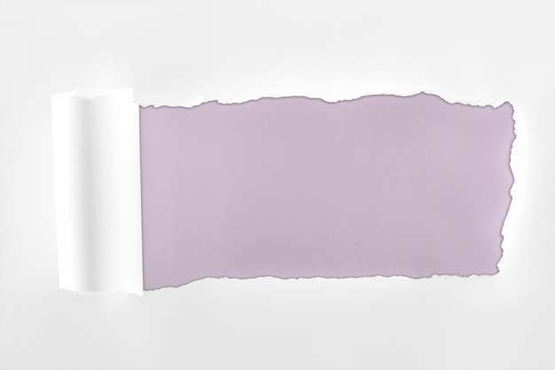 Carta bianca ruvida e sfilacciata con bordo arrotolato su sfondo viola chiaro