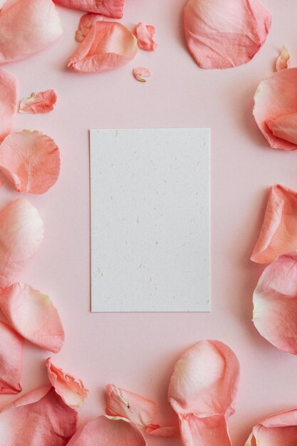 Carta bianca su sfondo rosa incorniciata da petali di fiore rosa