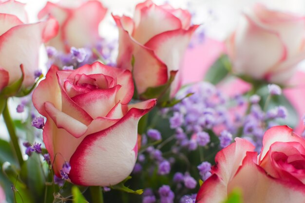 Carta colorata con bouquet di rose sotto i raggi del sole. Primo piano delle rose, piccoli fiori di gipsofila