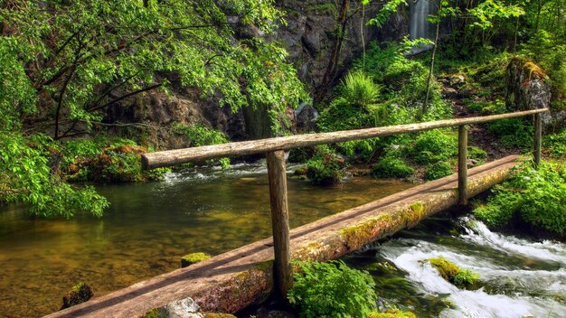 Carta da parati del paesaggio della natura HD